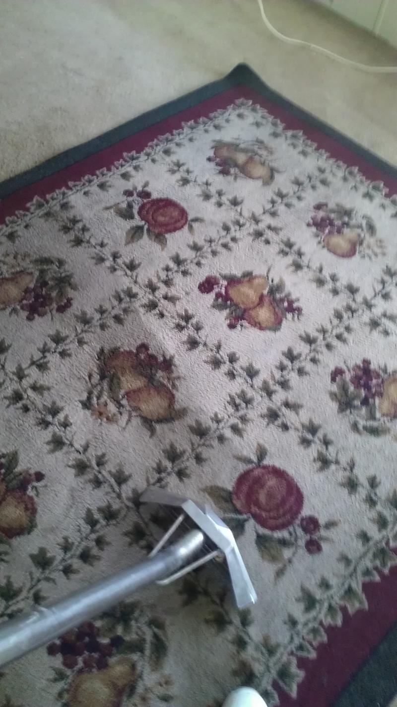 Area Rug Cleaning