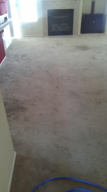 Carpet After
