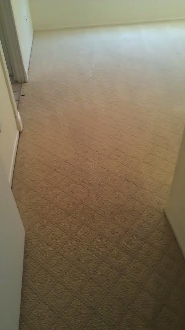 Carpet After