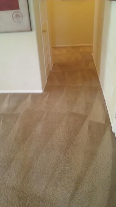 Carpet After
