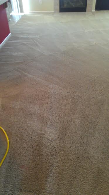 Carpet Before