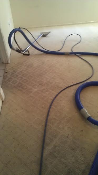 Carpet Before
